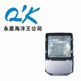 供应高效中功率投光灯 NTC9230 